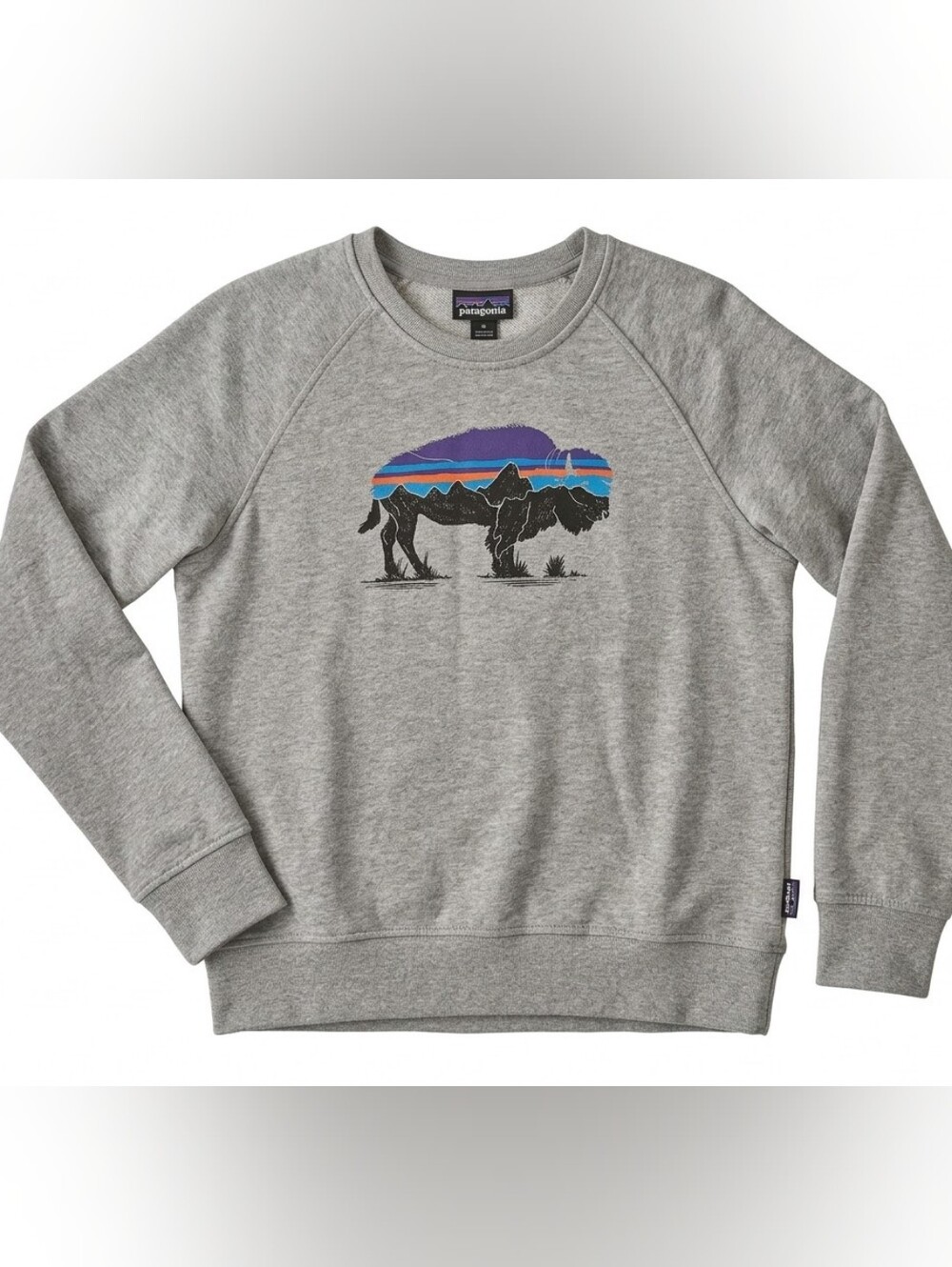Patagonia Fitz Roy Bison Ahnya Crew Sweatshirt Womens Small Gray Raglan Gorpcore